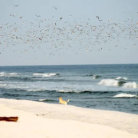 White Pearl 2.03 Апартаменты Тиммендорфер-Штранд