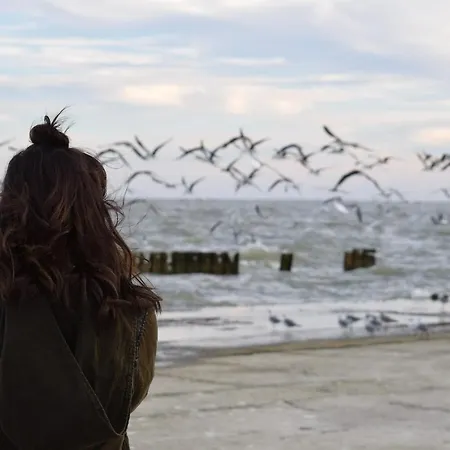 Апартаменты White Pearl 2.03 *